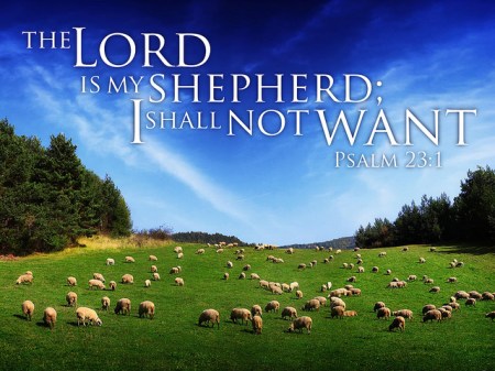 6938343671_38dfd7d570_z